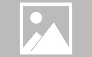临沂网页优化和设计人才（网站优化职位）